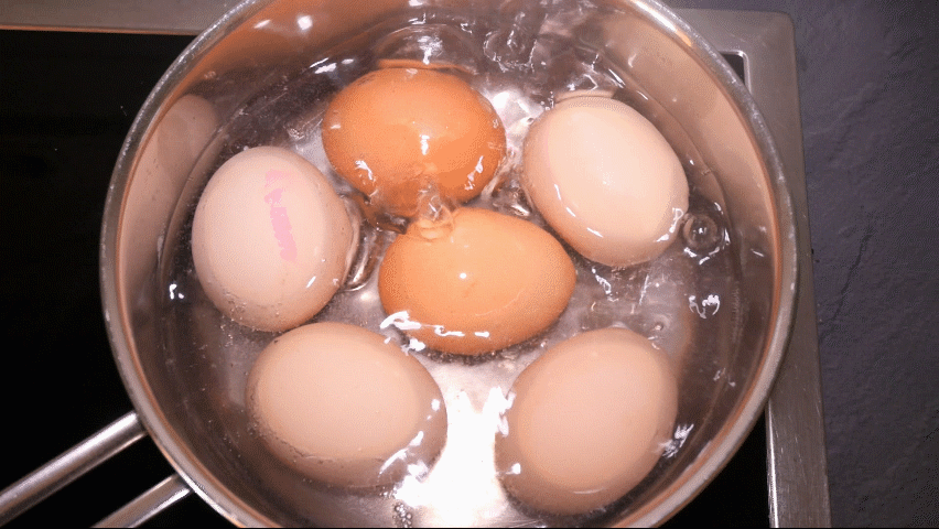 Sechs Eier kochen im siedenen Wasser